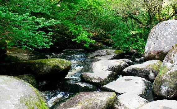 Moulin De La Civiere Panzió Kergrist-Moelou Kültér fotó